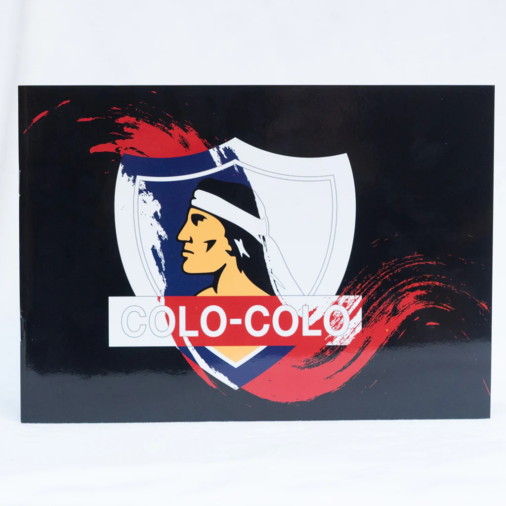 Combo Colo Colo Morral + Libro para pintar + Bolsa de género - Image 11