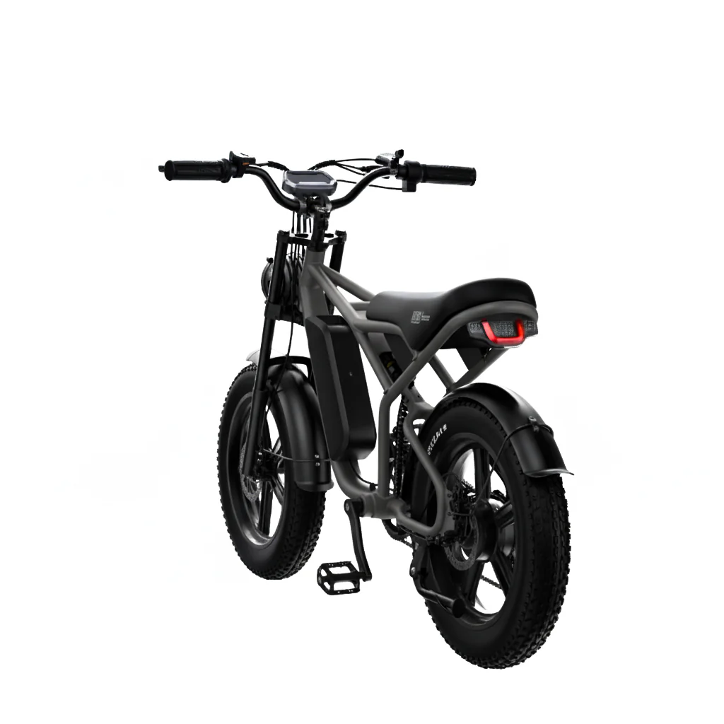 Ebike + Casco 20x4 Dual Motor 3000W Phantom - Image 3