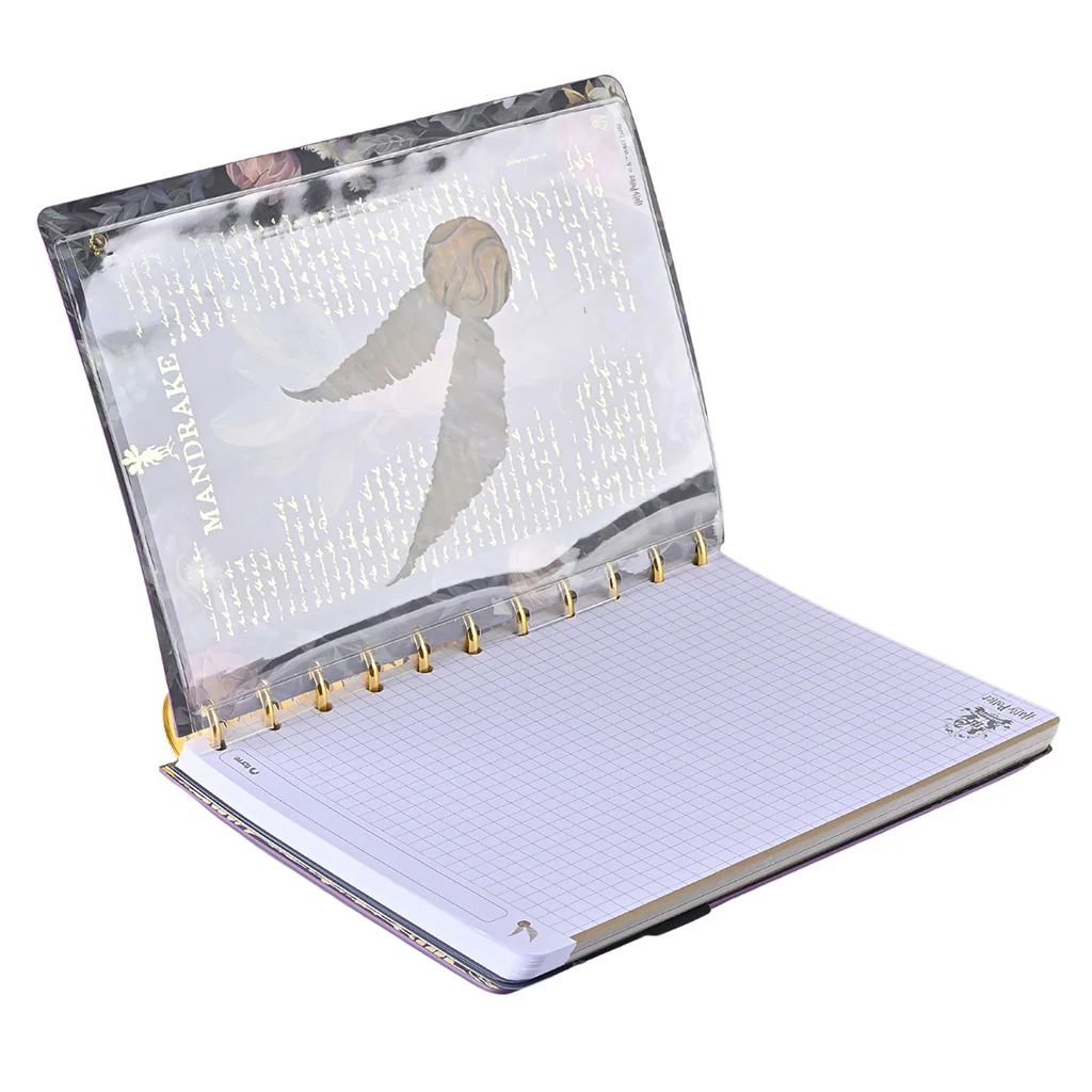 Cuaderno Recarga Discos Harry Potter - Image 2